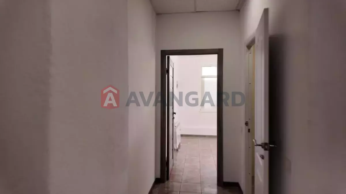 ����� ������, 61 ��.�. ���� 19