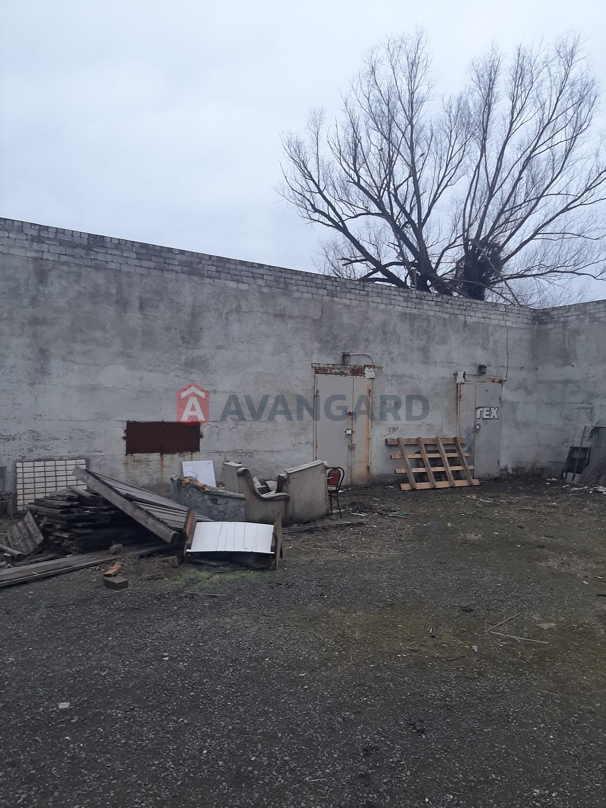 ����� �����, 56 ��.�. ���� 5