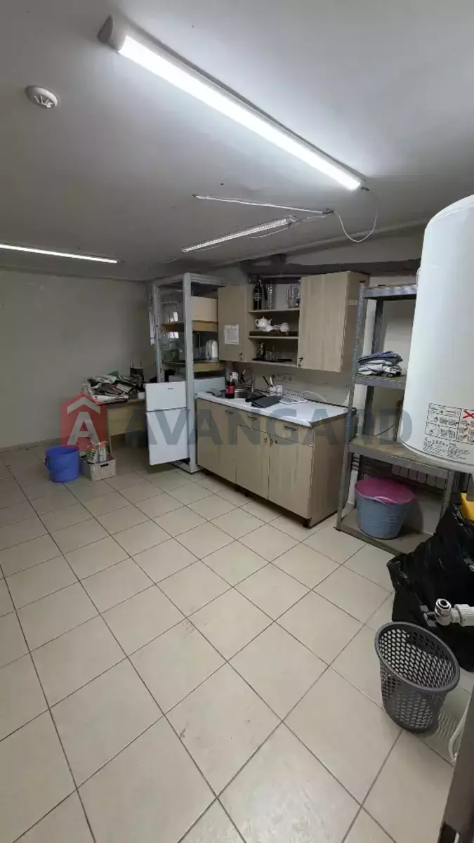 ���������� �����, 89 ��.�. ���� 10