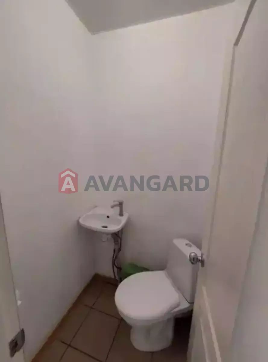 ���������� �����, 55 ��.�. ���� 9