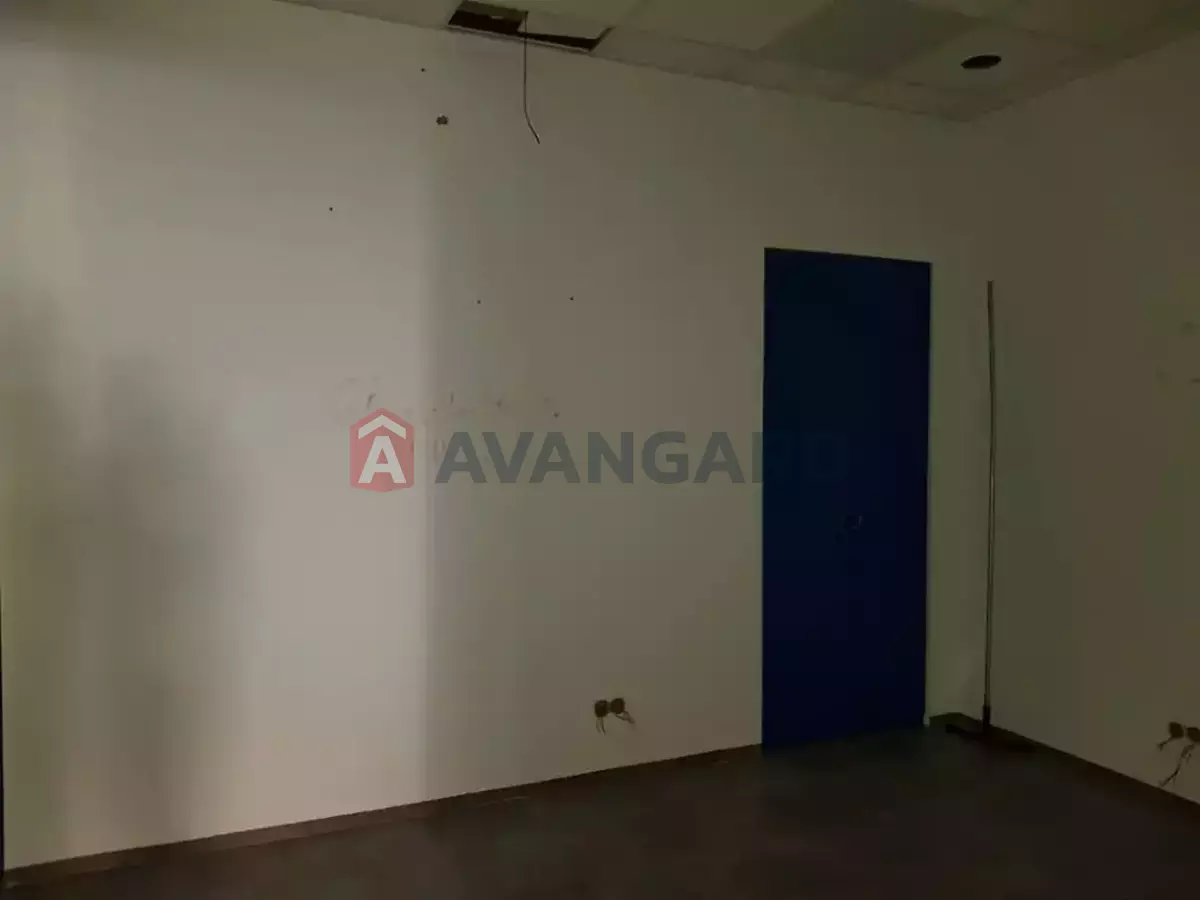 �������� �������, 53 ��.�. ���� 5