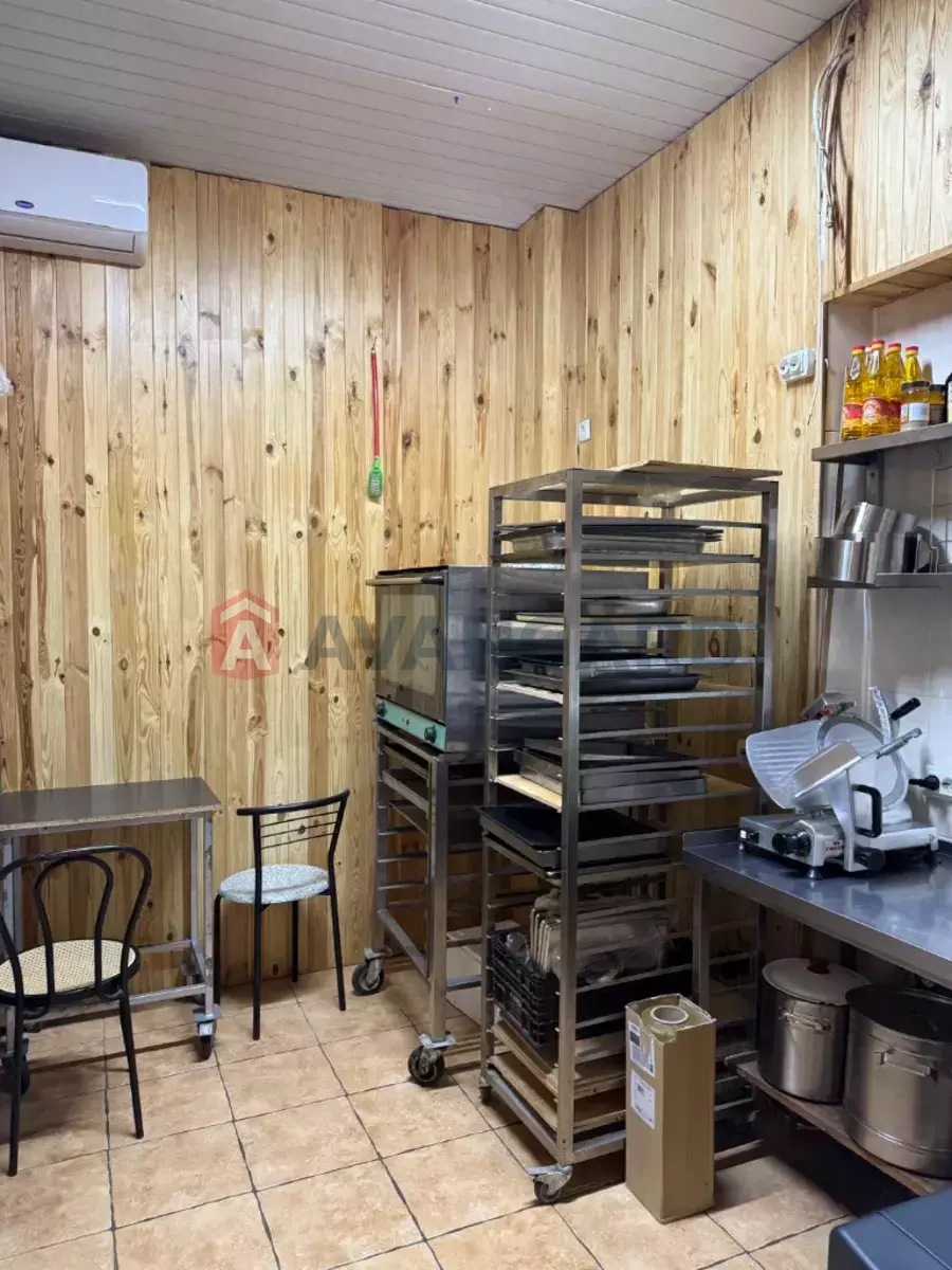 ����, ���, ��������, 70 ��.�. ���� 12