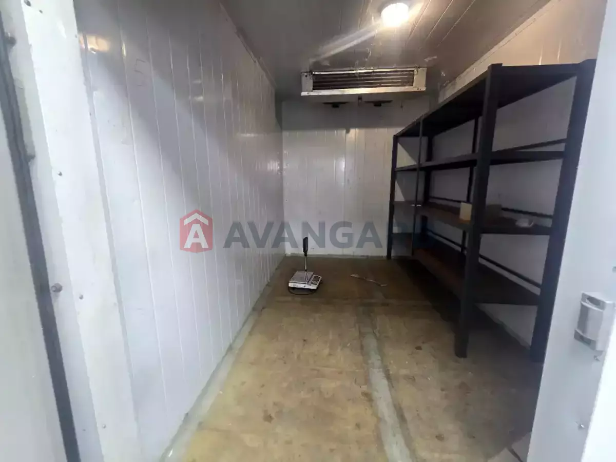 �������� �������, 160 ��.�. ���� 9