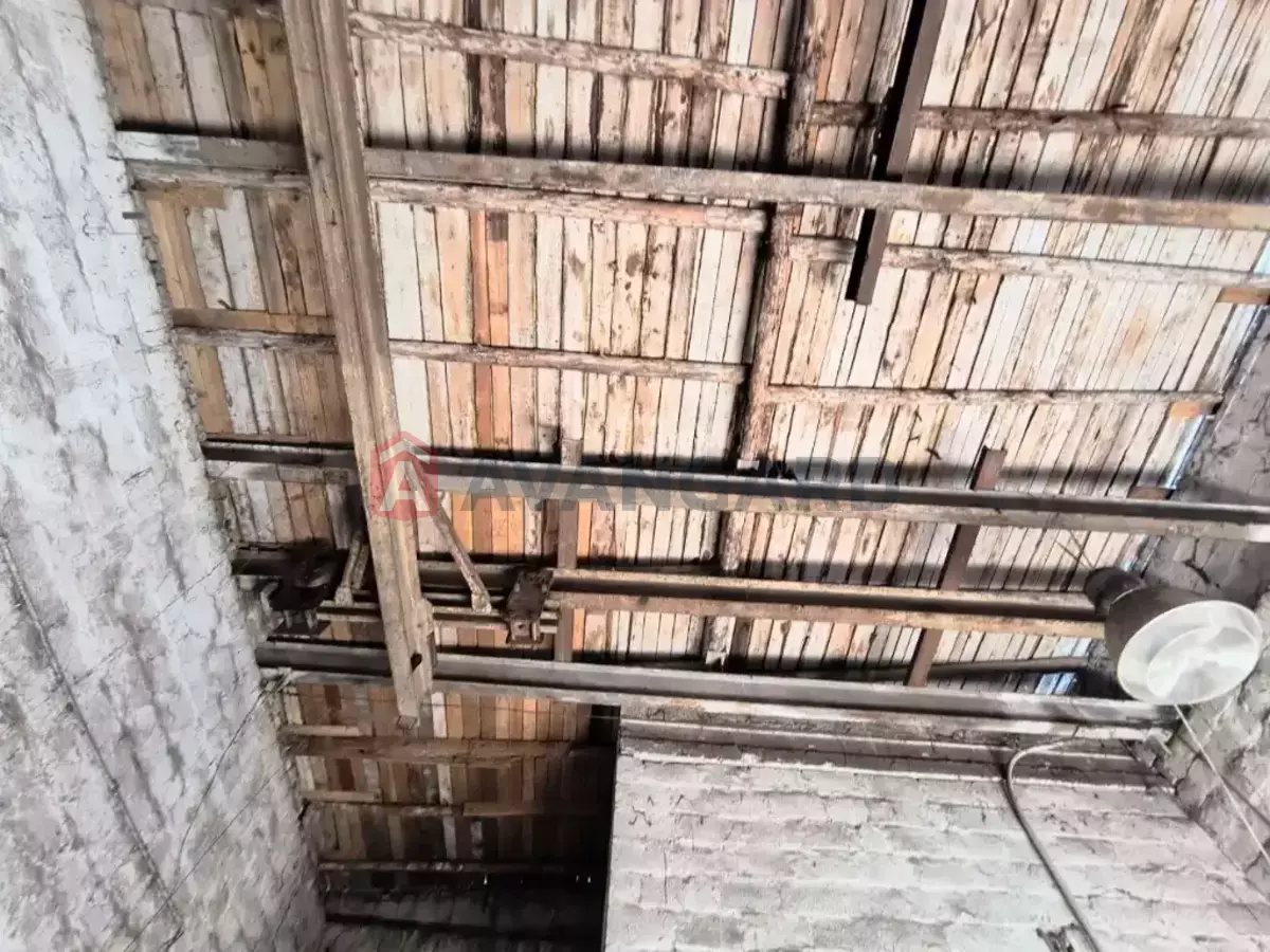 ���������� �����, 180 ��.�. ���� 12