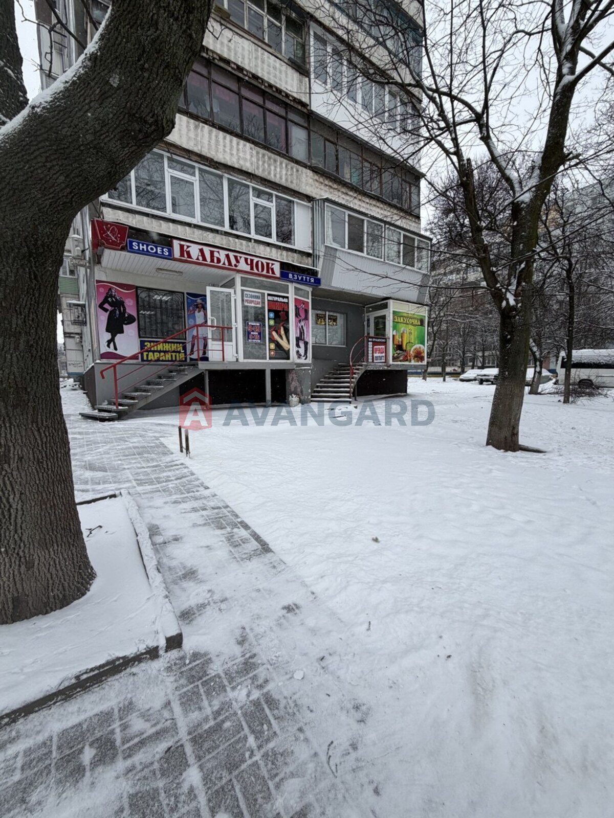 �������� �������, ����, ���, ��������, ����� �����, 51 ��.�. ���� 3