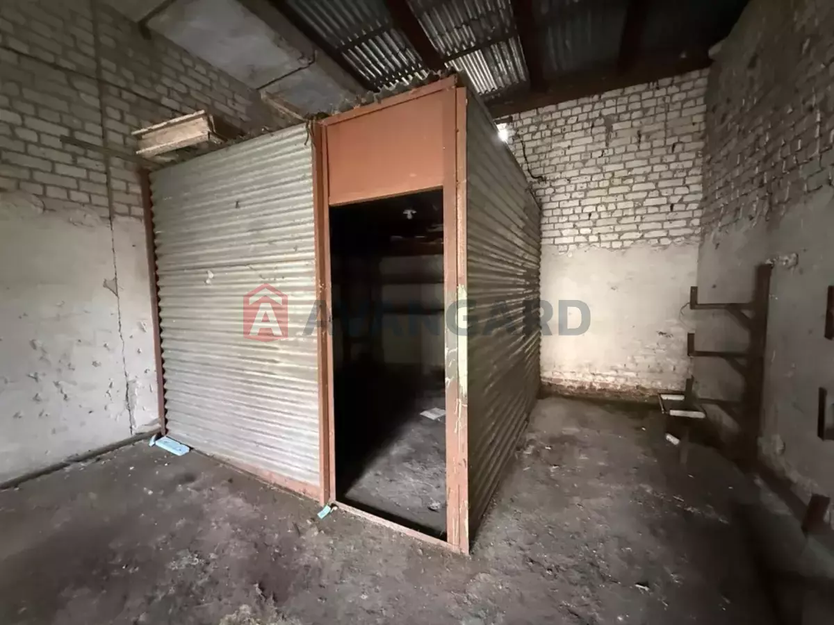 ���������� �����, 98 ��.�. ���� 6