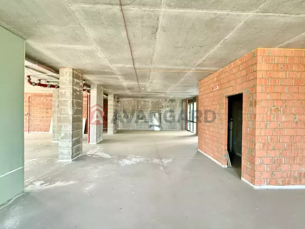 �������� �������, 292 ��.�. ���� 14