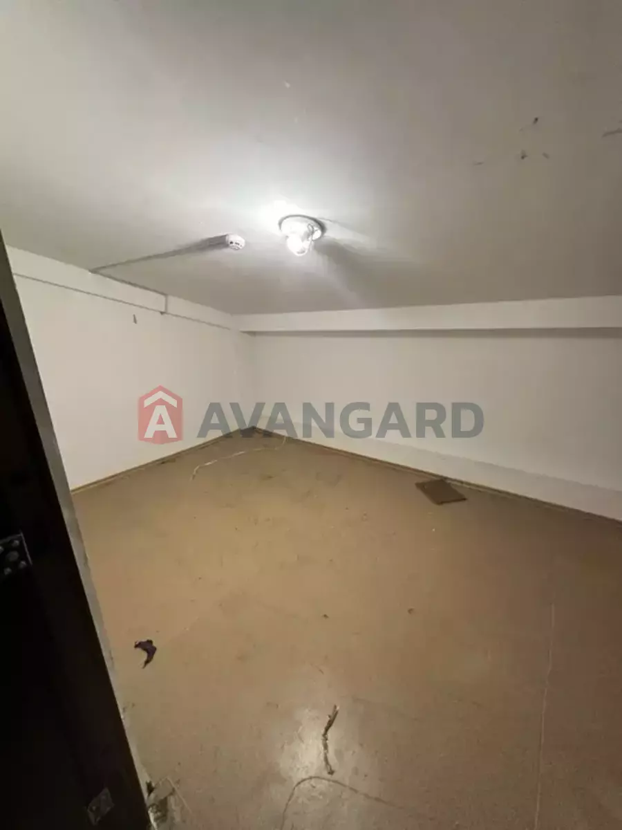 ���������� �����, 50 ��.�. ���� 7