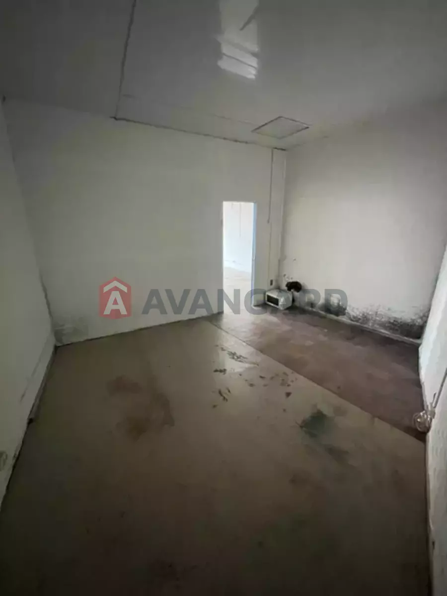 �������� �������, 60 ��.�. ���� 5