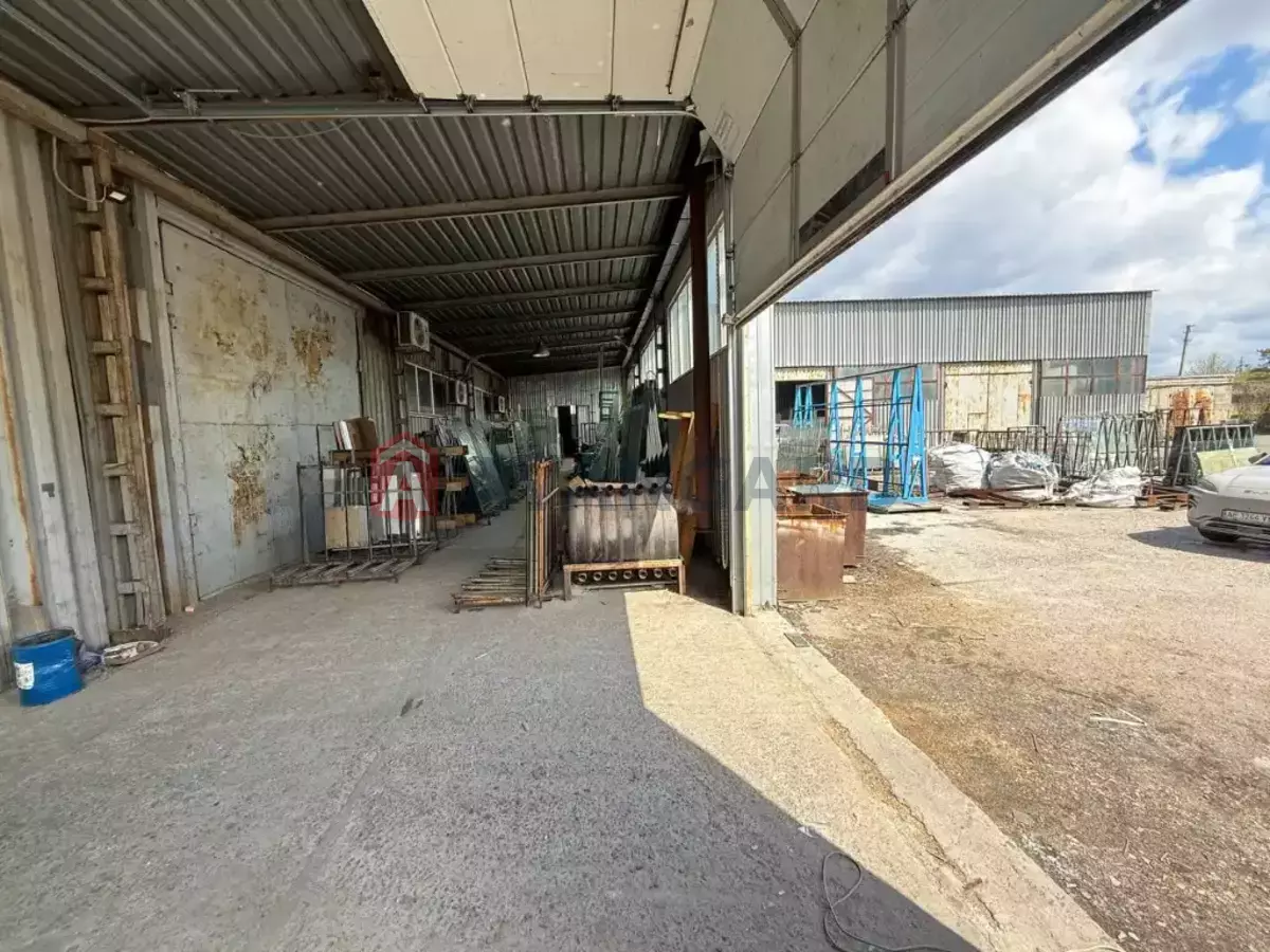 ���������� �����, 4000 ��.�. ���� 7