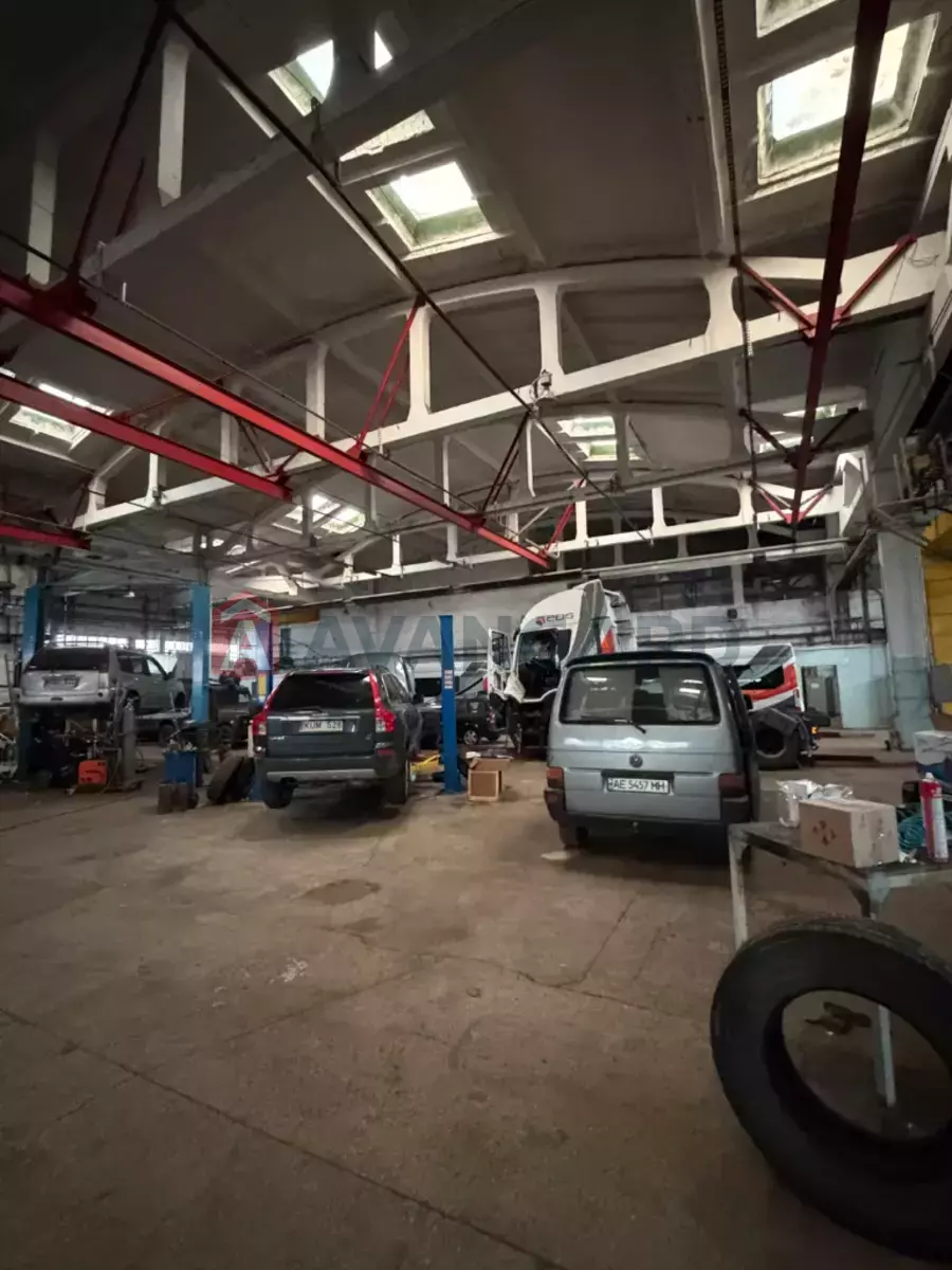 ����� �����, 4000 ��.�. ���� 3