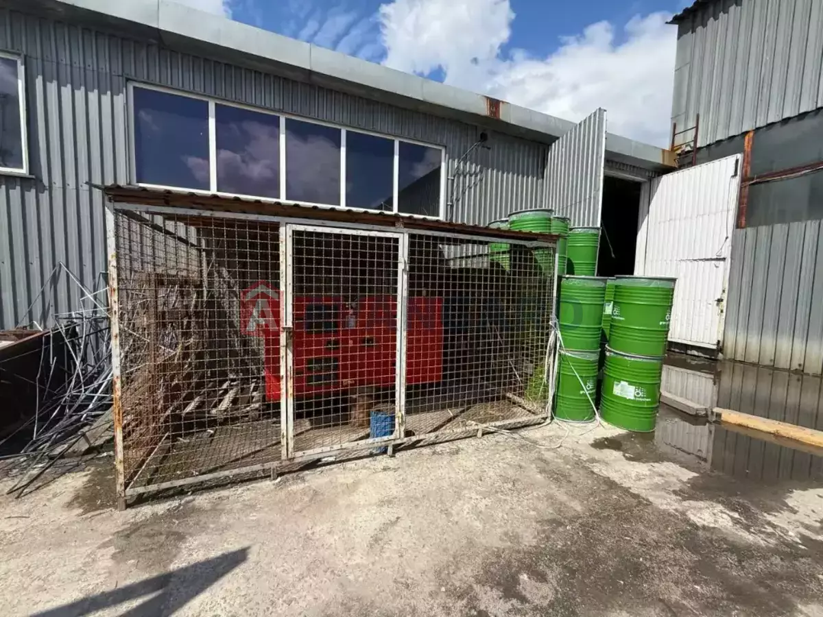 ���������� �����, 4000 ��.�. ���� 6