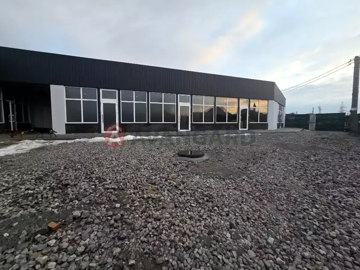 �������� �������, 40 ��.�. ���� 5