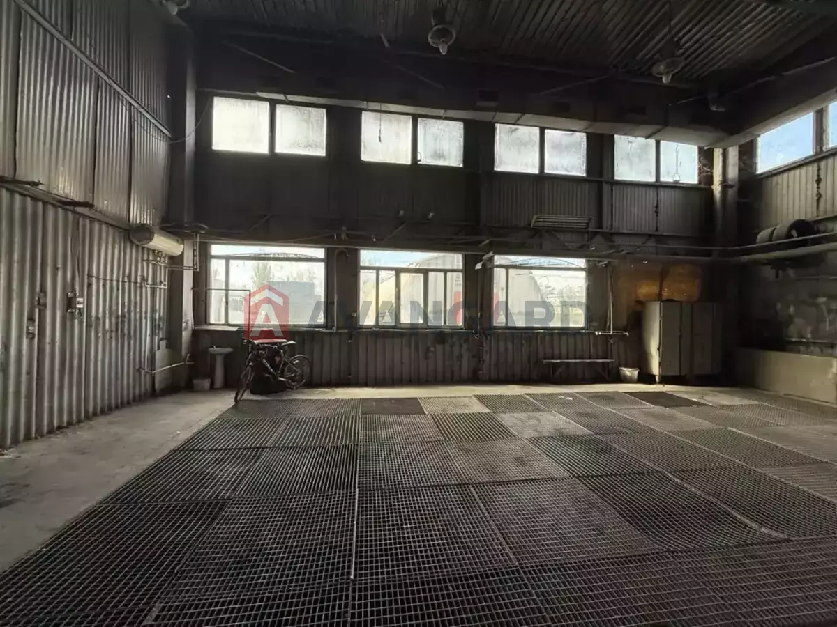 ���������� �����, 225 ��.�. ���� 10