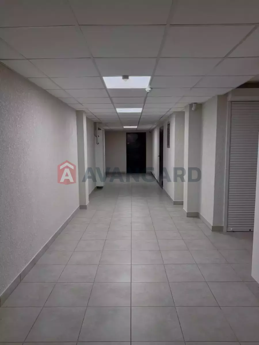 �������� �������, 130 ��.�. ���� 6