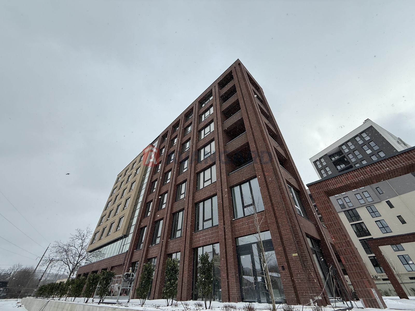 ���������� �����, ����, ���, ��������, ����� ������, 80 ��.�. ���� 19