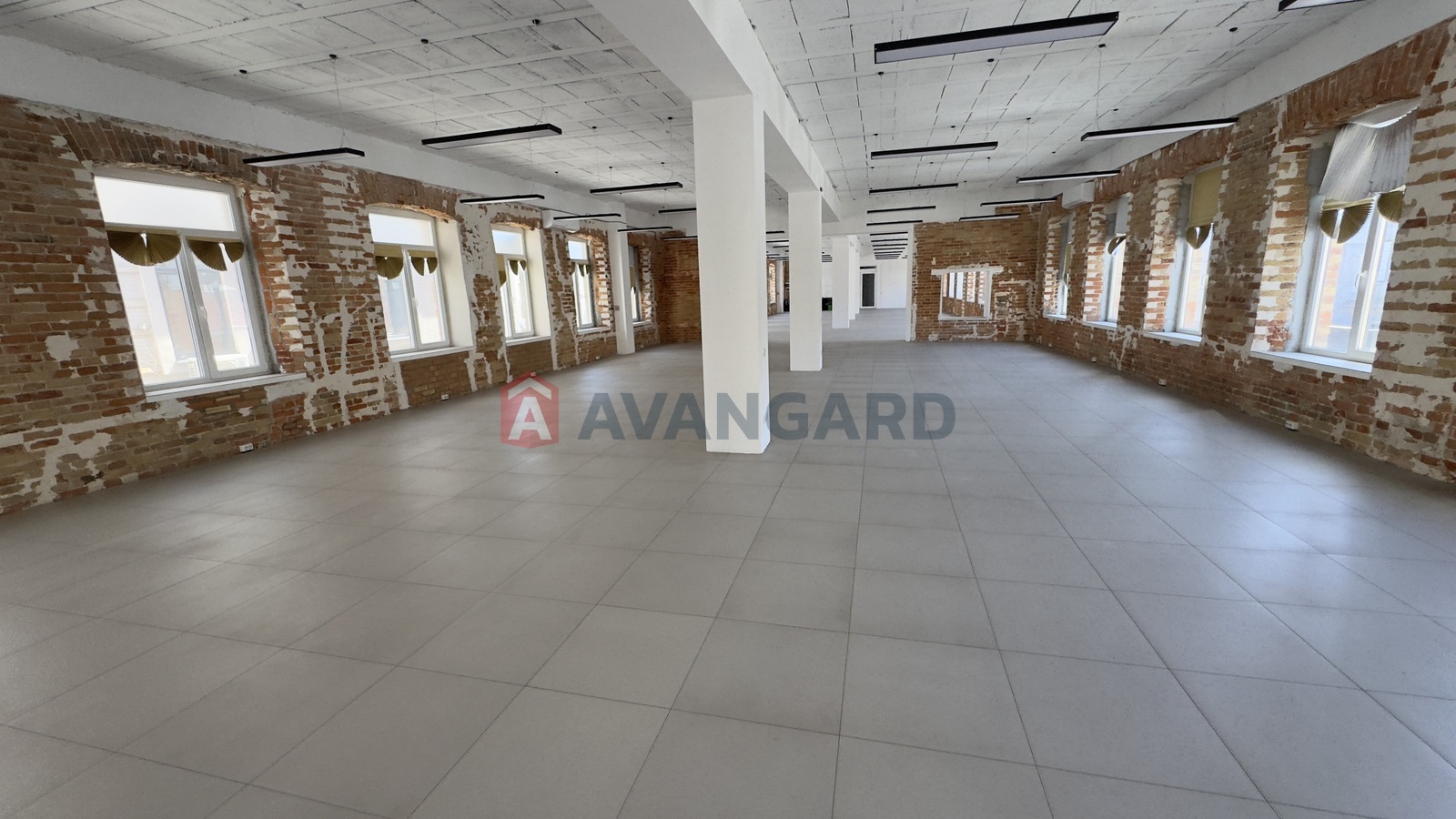 ����, ���, ��������, ����� �����, 386 ��.�. ���� 7