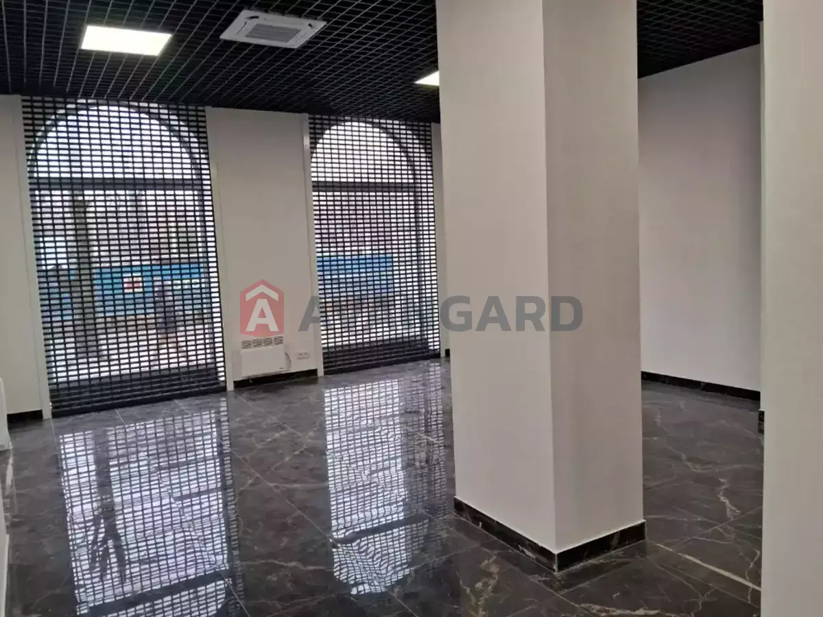 �������� �������, 255 ��.�. ���� 12