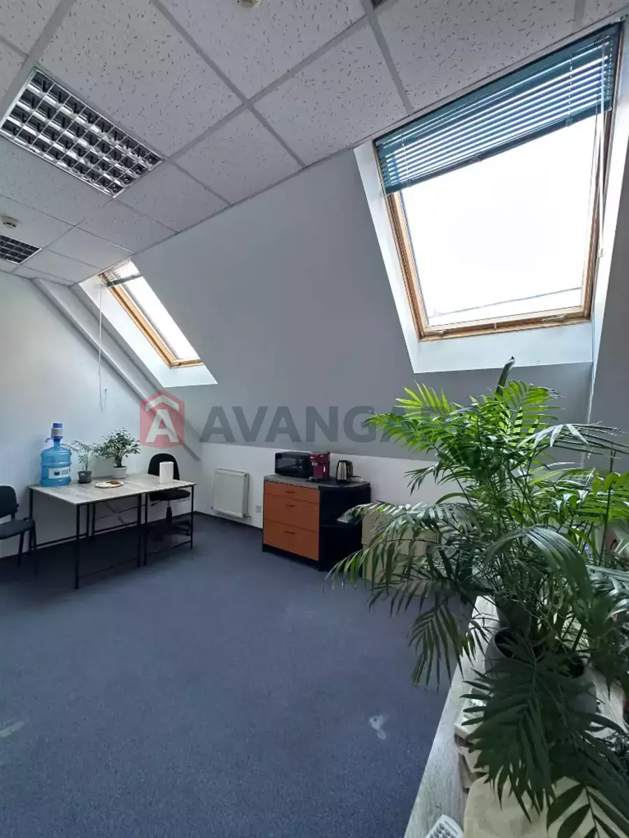 �������� �������, 210 ��.�. ���� 19