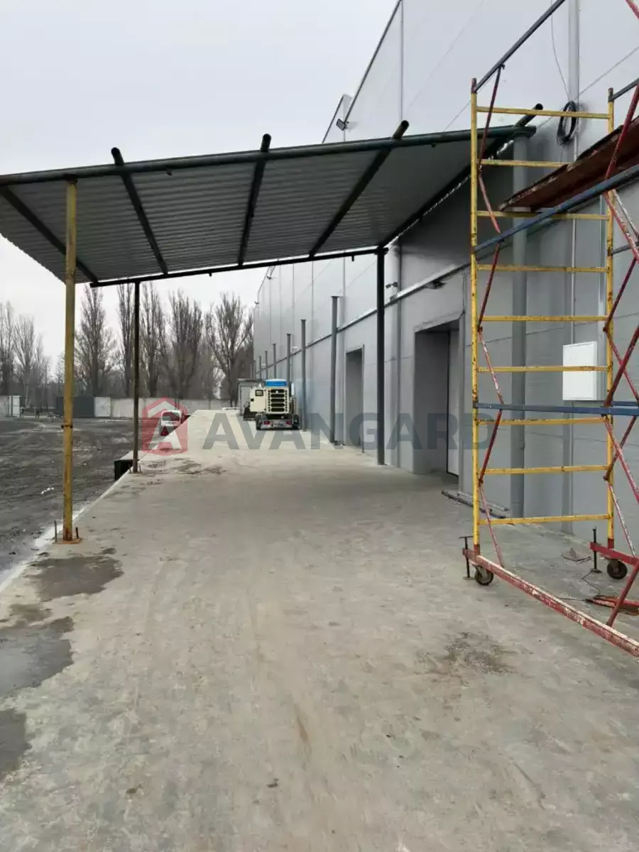 �������� �������, 1000 ��.�. ���� 9