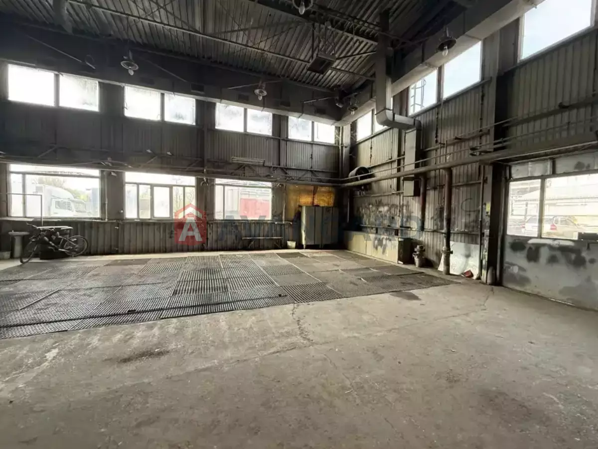 ���������� �����, 225 ��.�. ���� 14