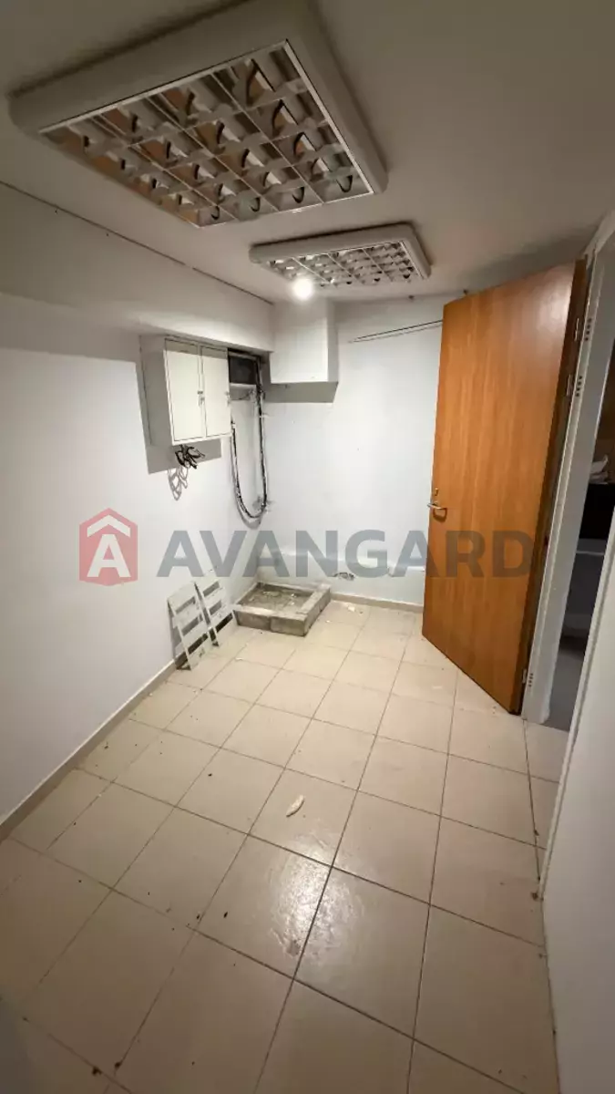 ���������� �����, 89 ��.�. ���� 14