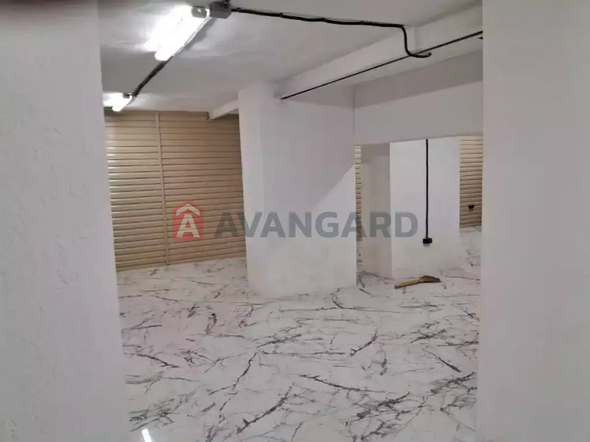 �������� �������, 255 ��.�. ���� 17