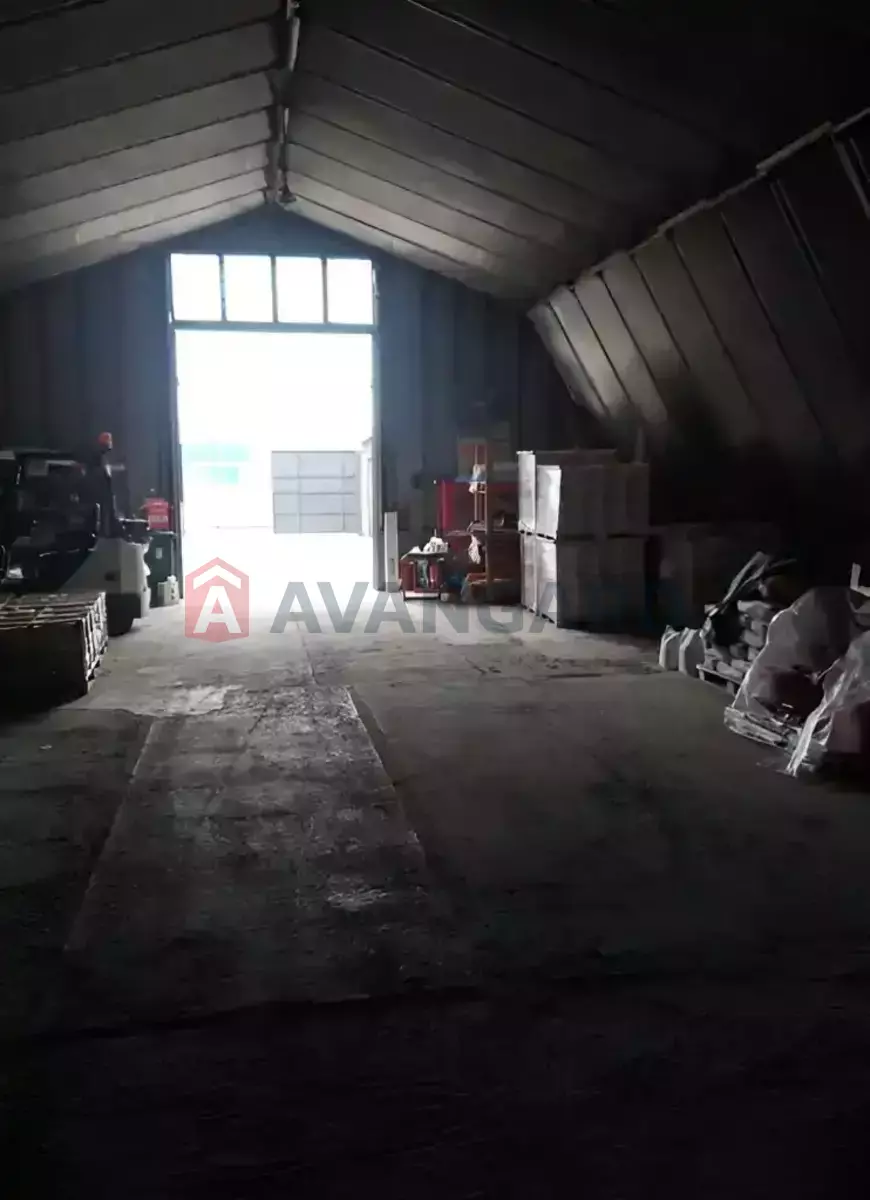 ���������� �����, 225 ��.�. ���� 7