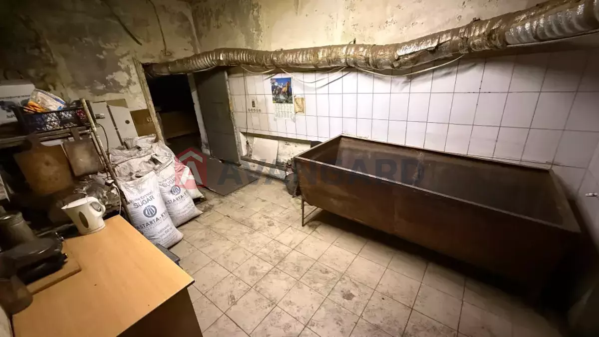 ���������� �����, 300 ��.�. ���� 15