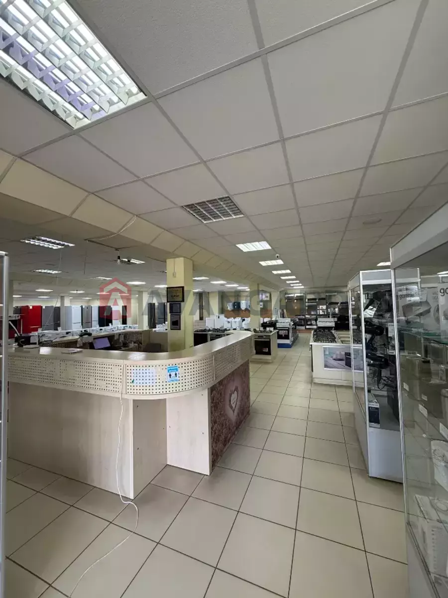 �������� �������, 868 ��.�. ���� 3