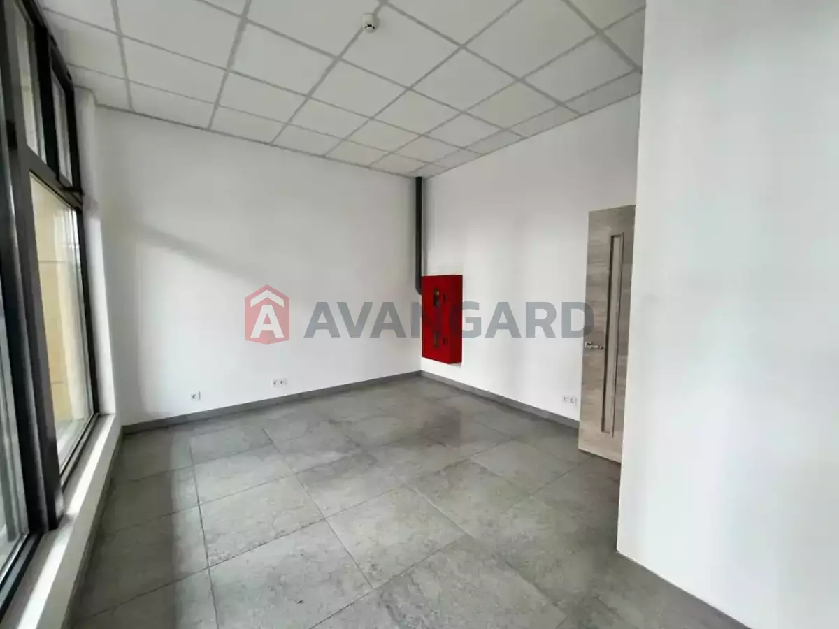 �������� �������, 22 ��.�. ���� 13