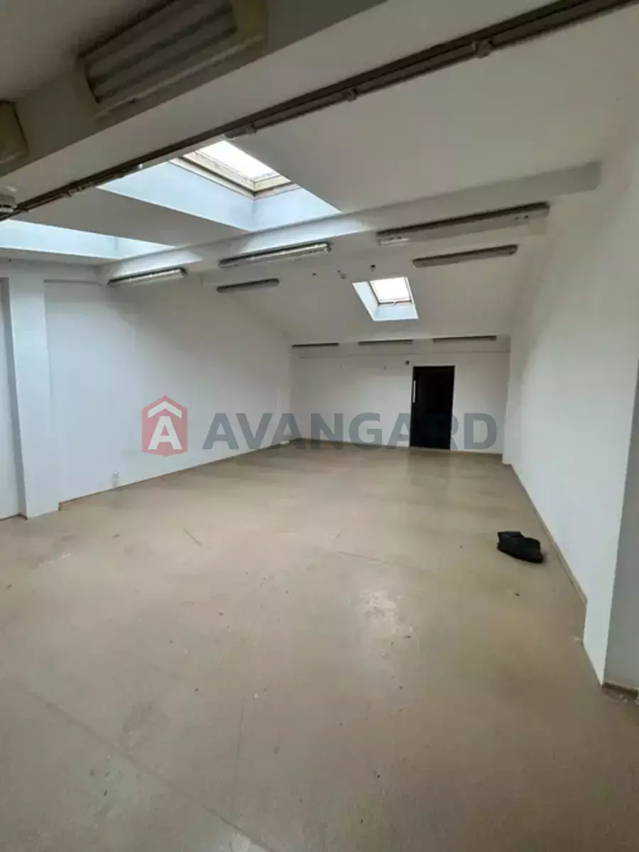 ���������� �����, 50 ��.�. ���� 6