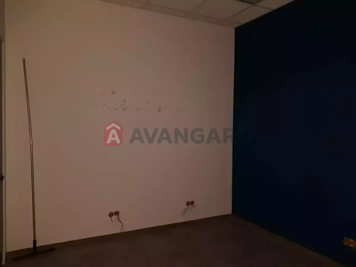 �������� �������, 53 ��.�. ���� 6