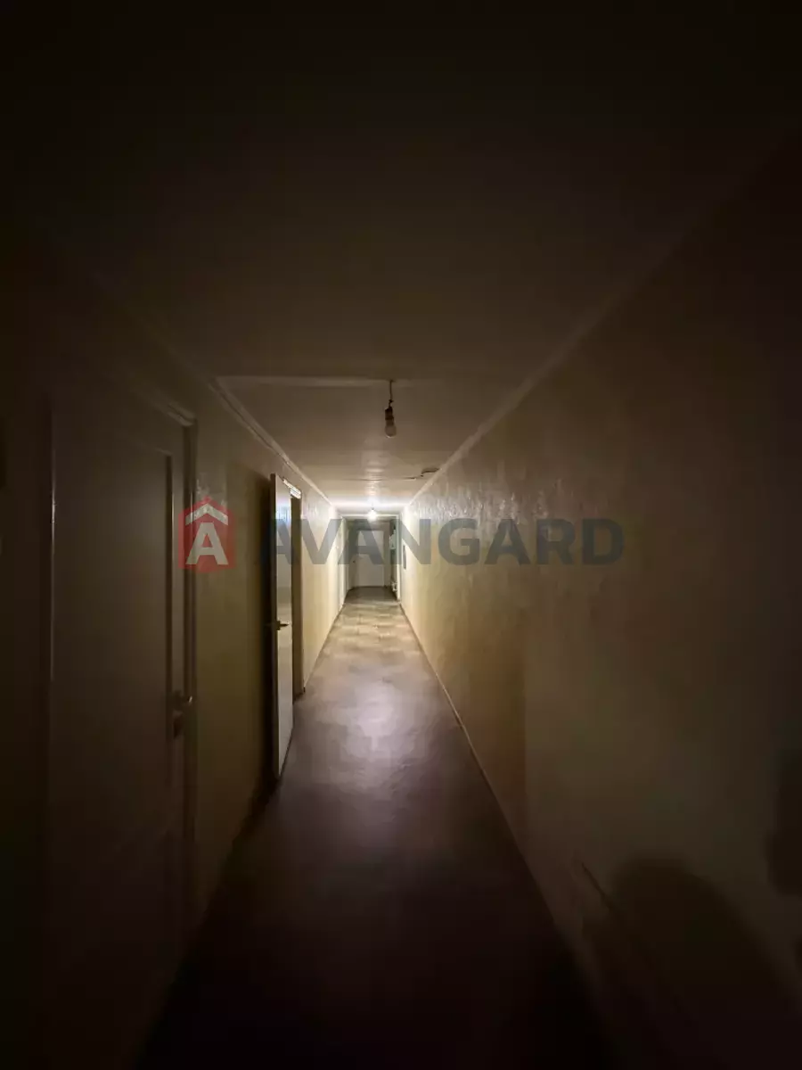 �������� �������, 868 ��.�. ���� 12