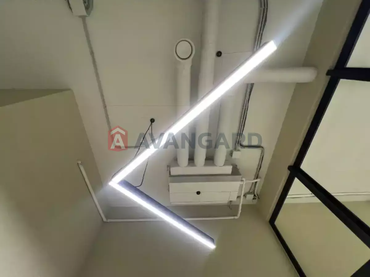 ���������� �����, 50 ��.�. ���� 9