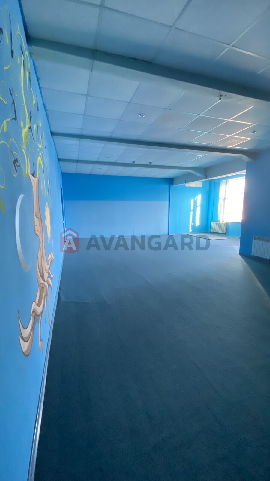 ����� ������, 100 ��.�. ���� 5