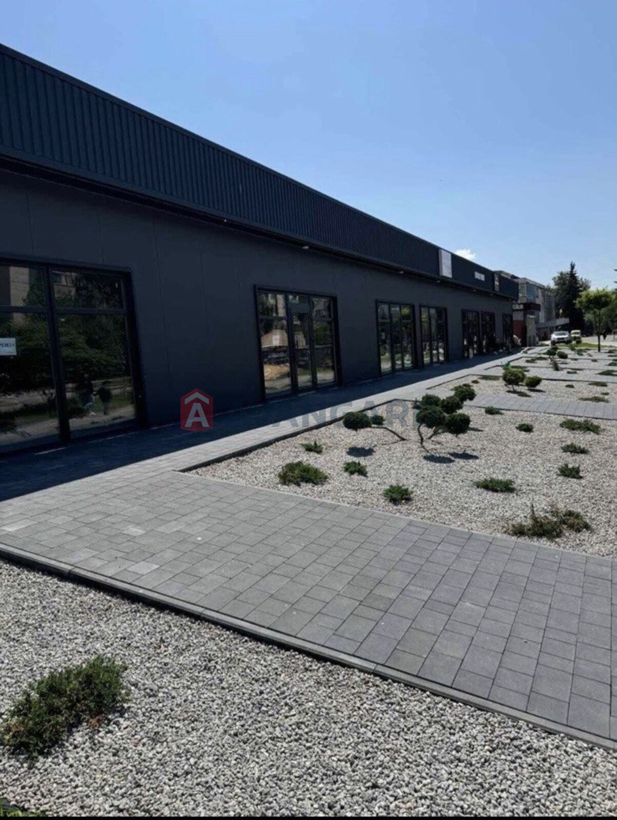 �������� �������, ����, ���, ��������, ����� �����, 40 ��.�. ���� 11