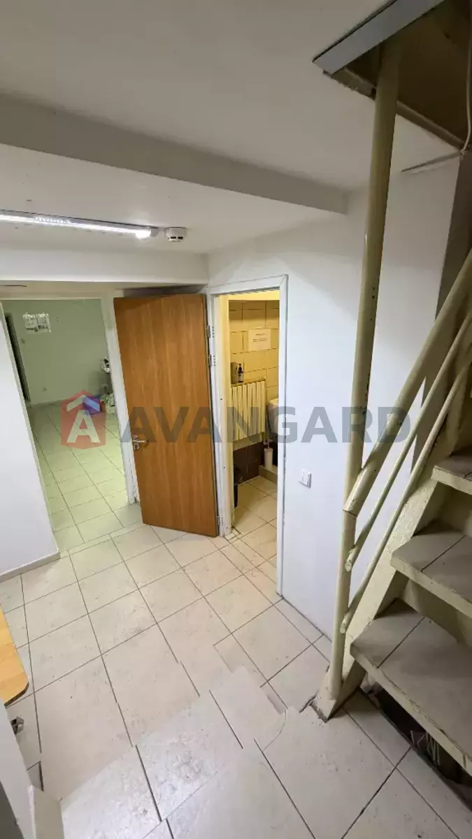 ���������� �����, 89 ��.�. ���� 8