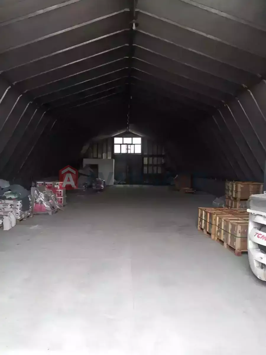 ���������� �����, 225 ��.�. ���� 21