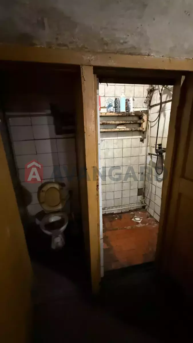 ���������� �����, 300 ��.�. ���� 23