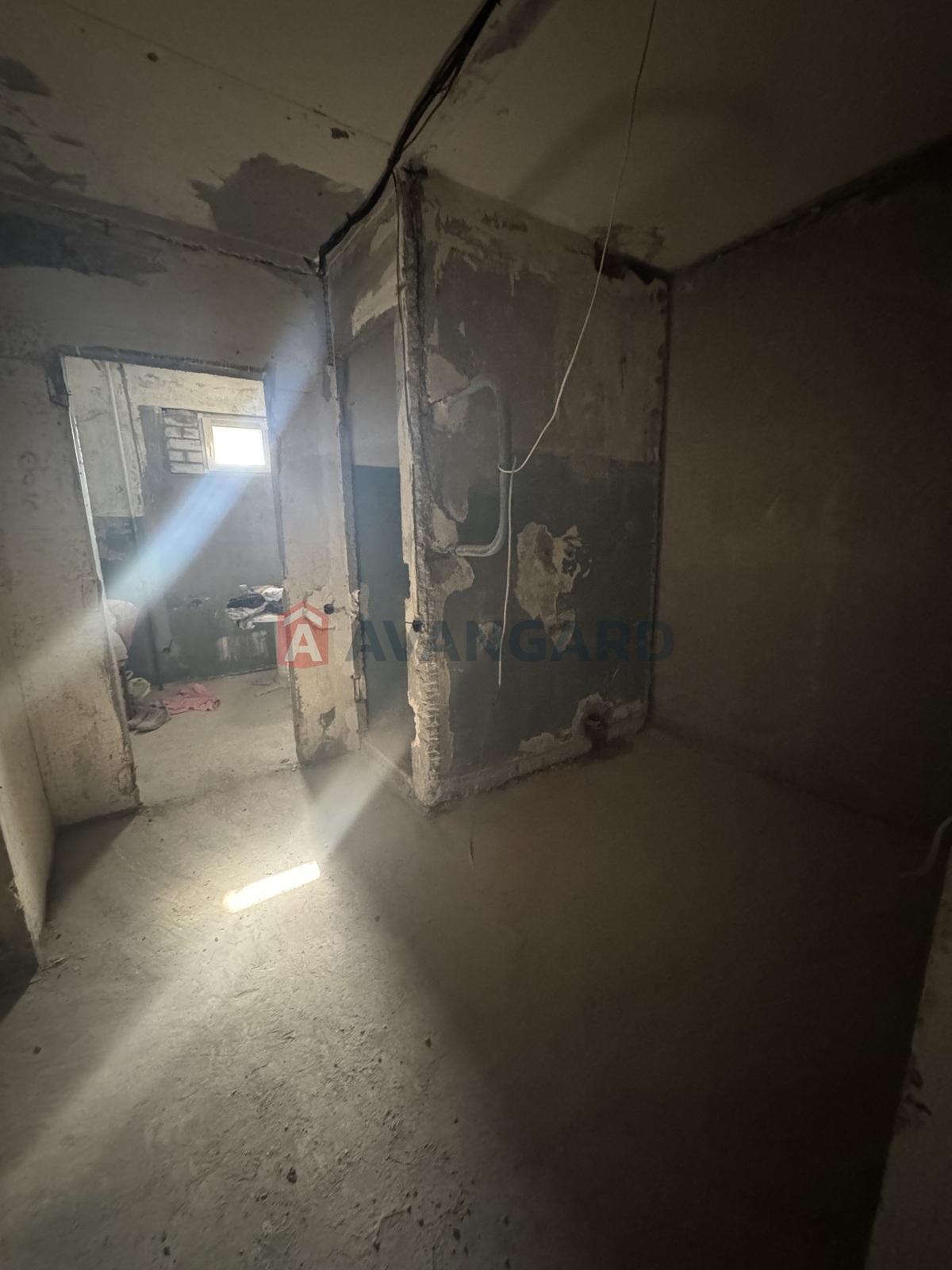 �������� �������, ����, ���, ��������, ����� �����, 71 ��.�. ���� 12