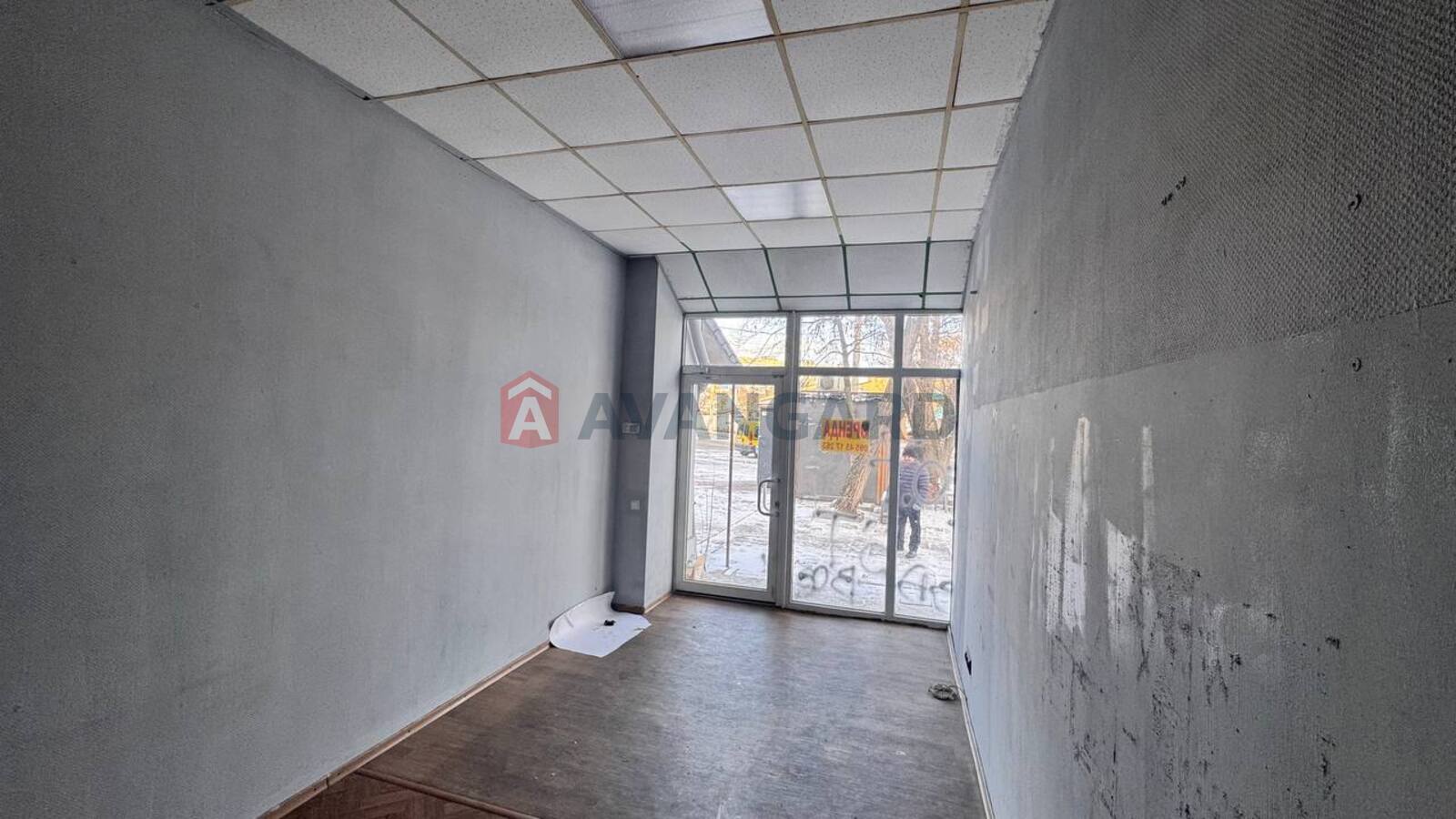 �������� �������, ����, ���, ��������, 19 ��.�. ���� 7