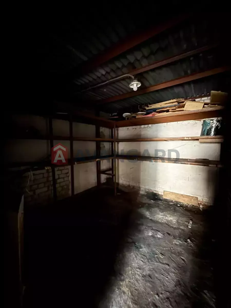 ���������� �����, 98 ��.�. ���� 11