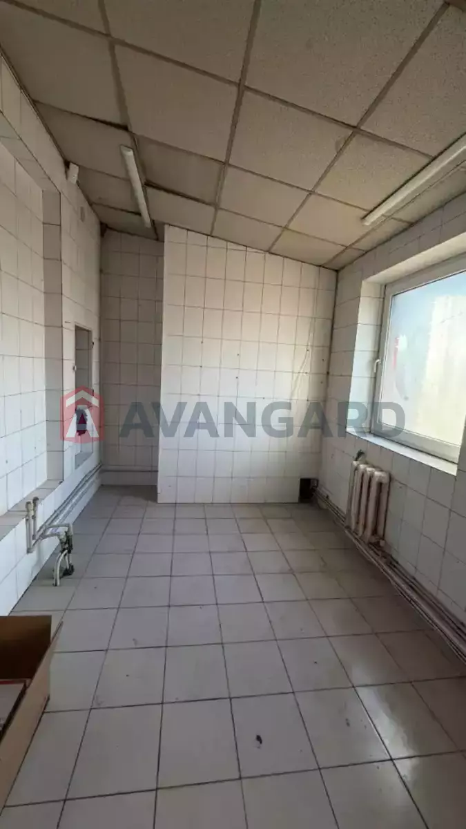 ����, ���, ��������, 72 ��.�. ���� 8