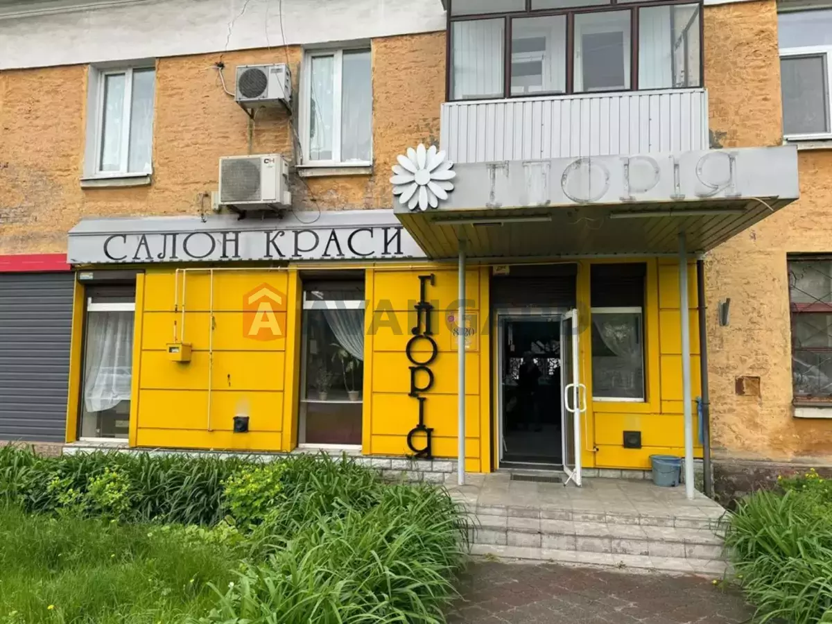 �������� �������, 50 ��.�. ���� 1