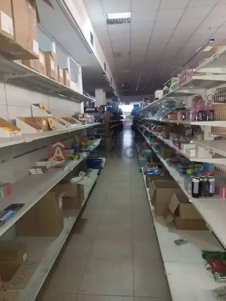 ���������� �����, 1510 ��.�. ���� 6