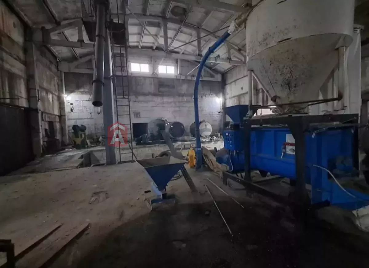 �������� �������, 1200 ��.�. ���� 1