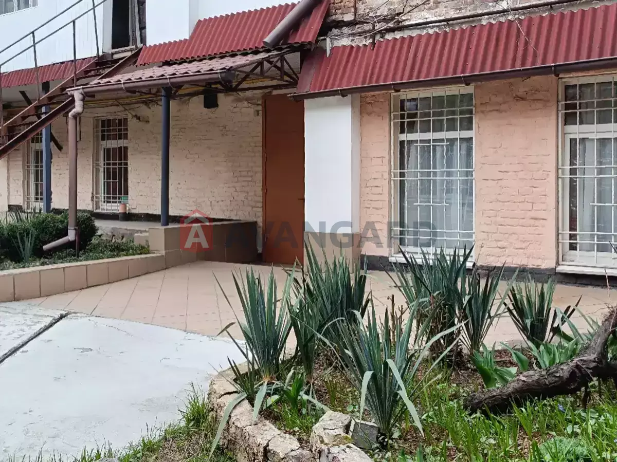 ����� �����, 10 ��.�. ���� 7