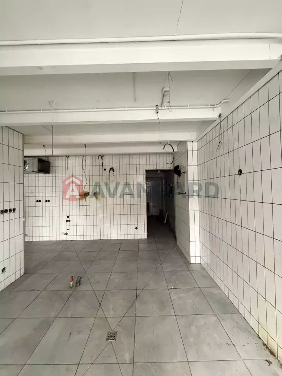 ����, ���, ��������, 210 ��.�. ���� 5