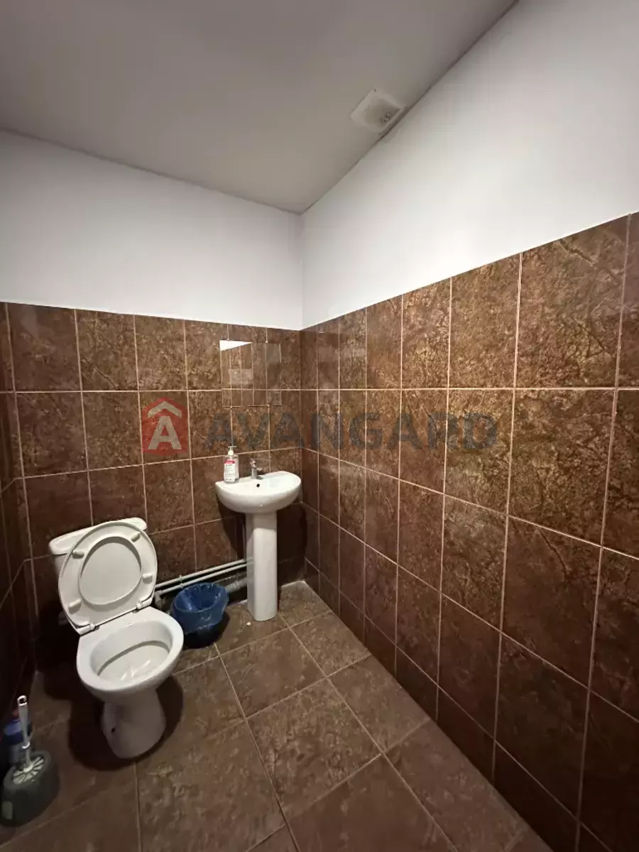 ���������� �����, 73 ��.�. ���� 6